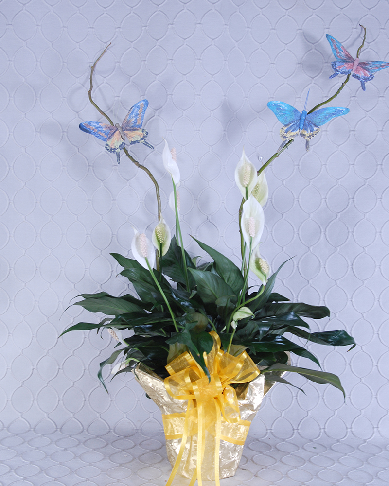 Butterflies To Heaven :: Roberts Floral and Gifts