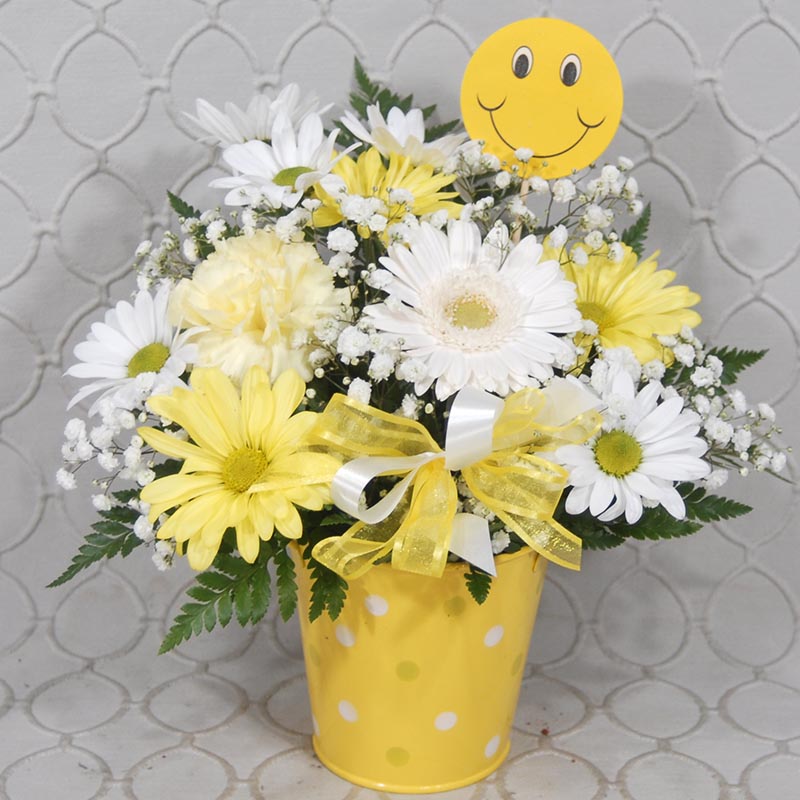 Summer Daisy #3581 :: Roberts Floral and Gifts