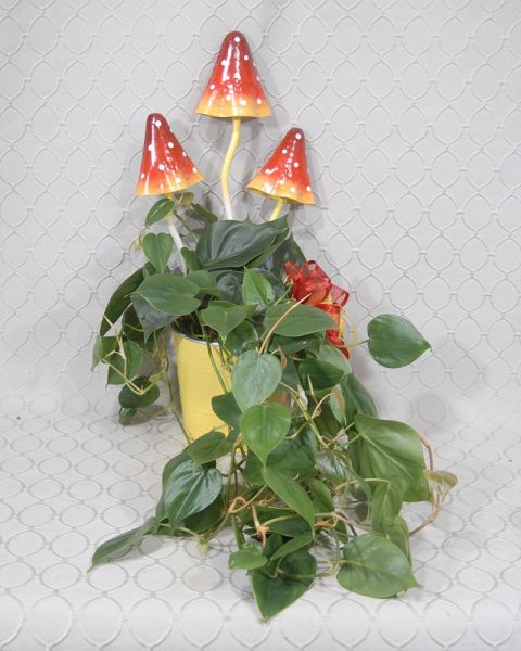 Sunny Mushroom Dish Garden #3619
