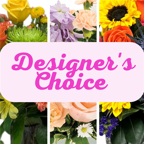 Designers Choice $100