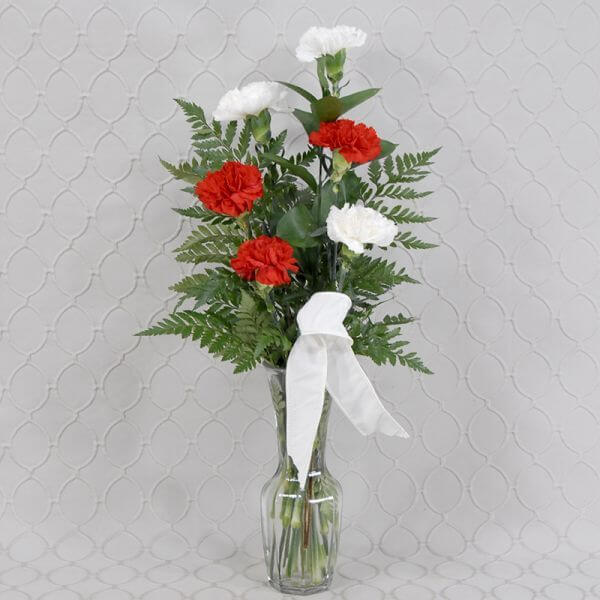 Red & White Carnations Half Dozen 
