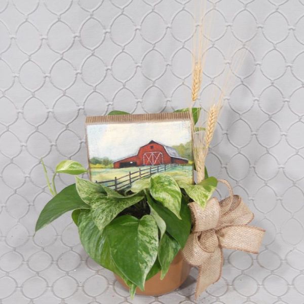 Barnyard Planter #3614