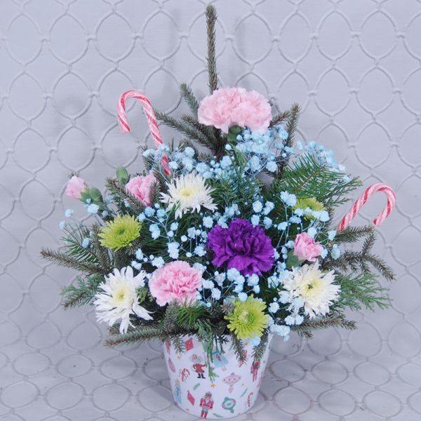 Nutcracker Sweet #2920