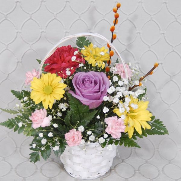 Spring Time  #RF3523