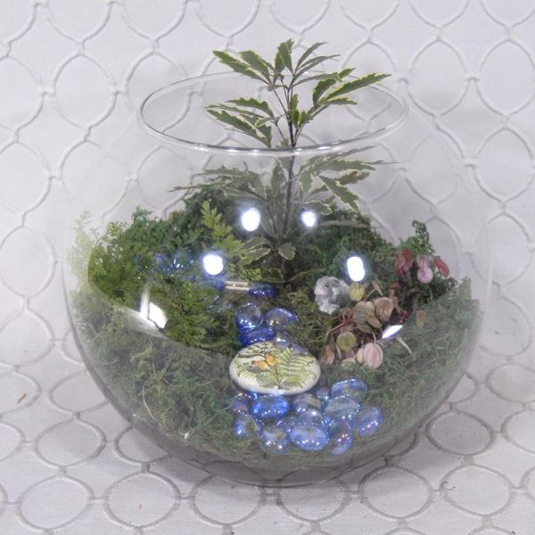 Terrarium #1832