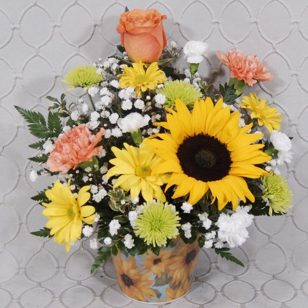 You're The Sun To Me #3536