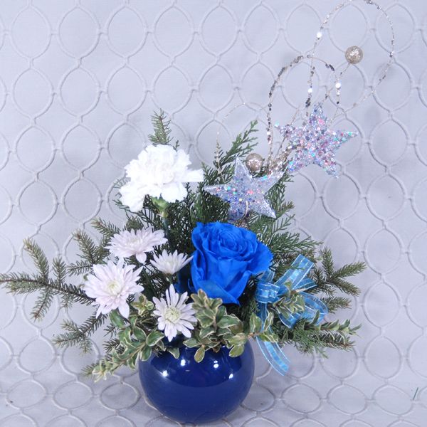 Northern Lights  #2908