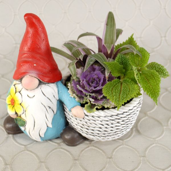Dish Garden #2647
