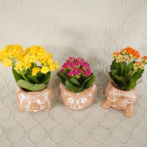 Animal Planter #2705