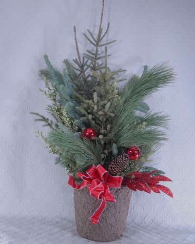 Spruce Top Pot #2885