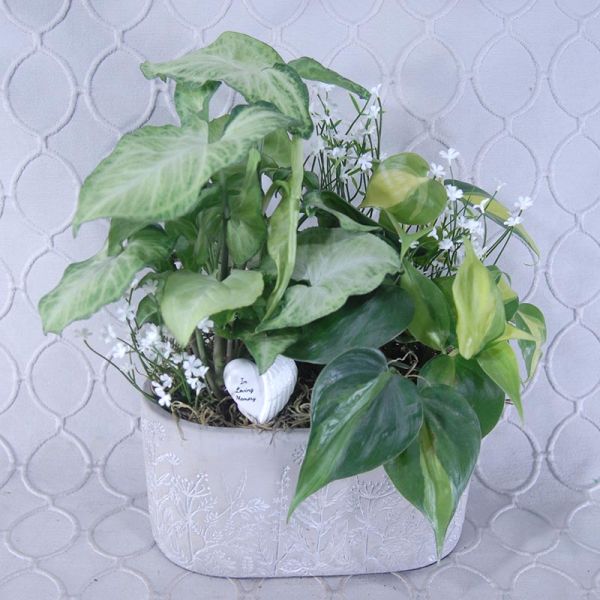 Planter #2871   (In Loving Memory)