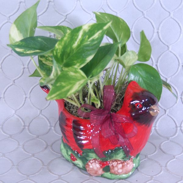 Cardinal Christmas Planter #2886