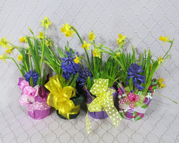 Mini Bulb Garden #3534