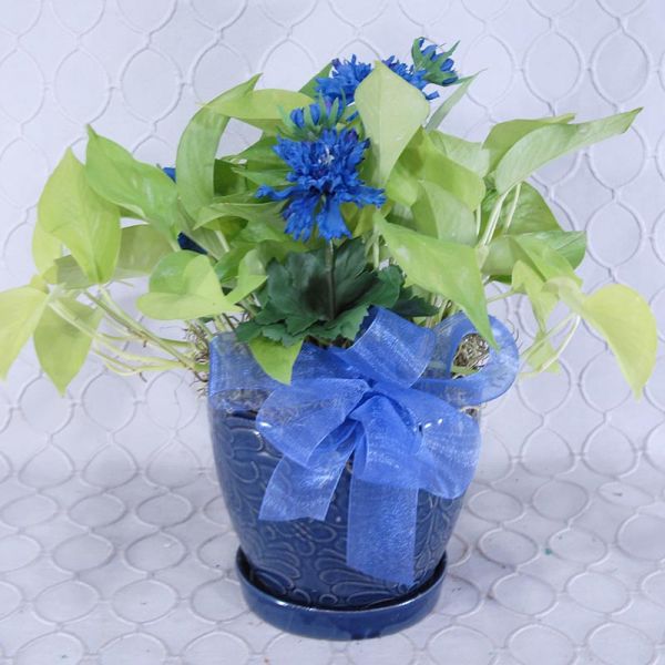 Planter #2834 