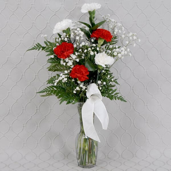 Red & White Carnations Half Dozen With Babies Breath