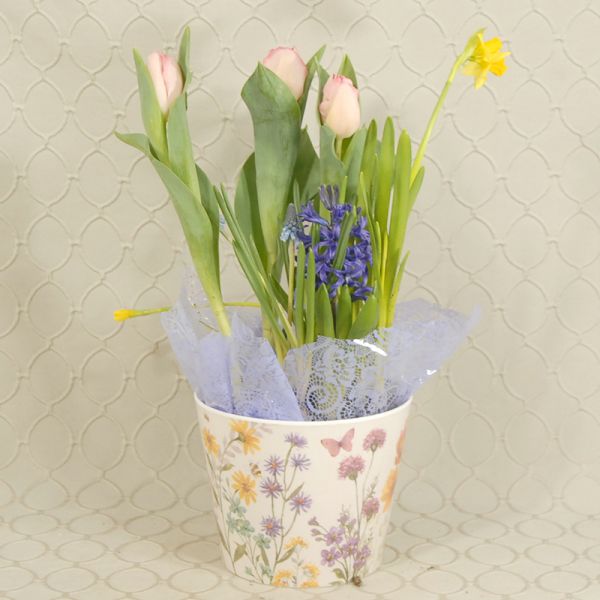 Bulb Garden #1923