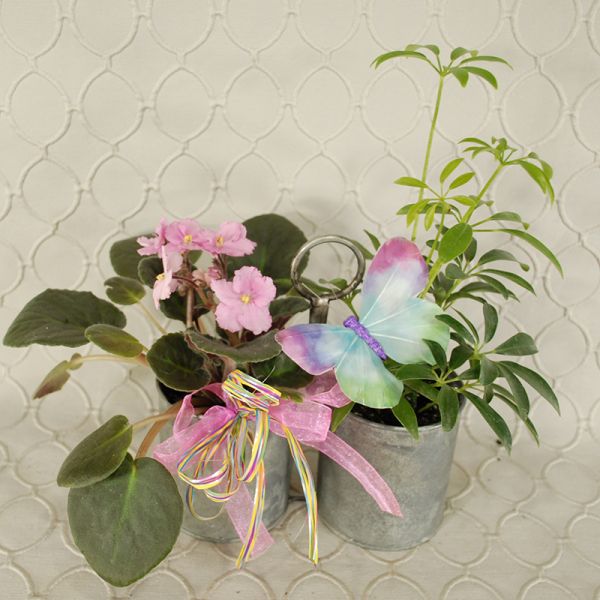 Planter #1290