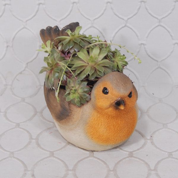Succulent Garden #1704