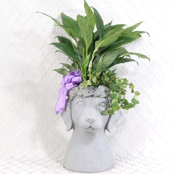 Dog Planter #833