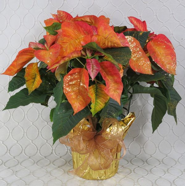 Copper Poinsettia #2120
