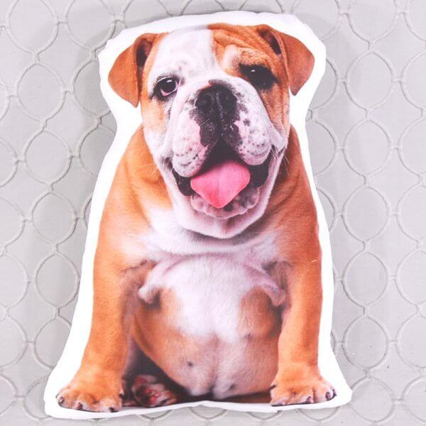 bulldog pillow