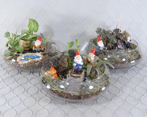 Terrarium #1795