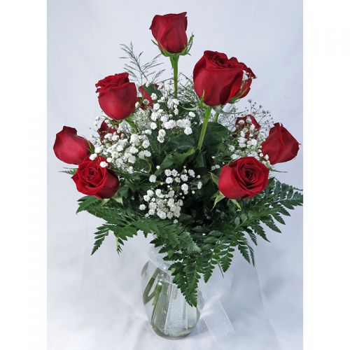 Dozen Roses with Babies Breath (all around ) 