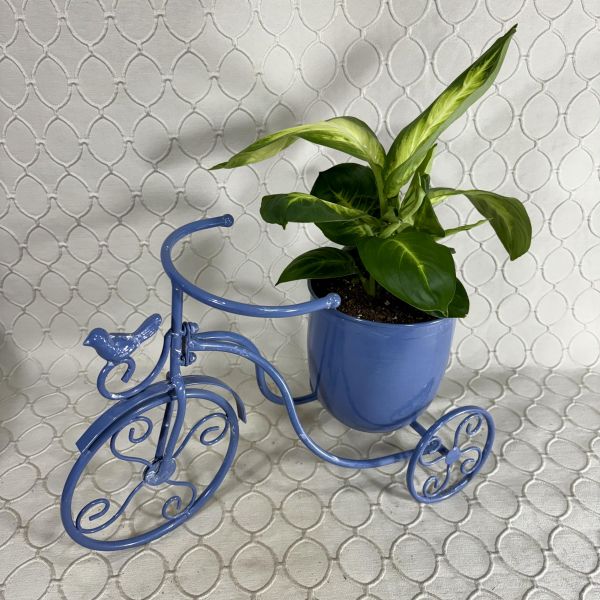Planter #1393