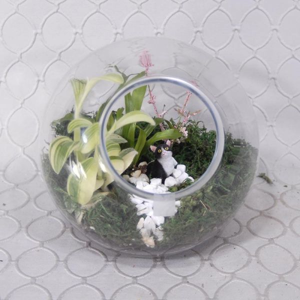 Terrarium #1835
