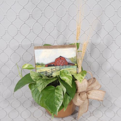 Barnyard Planter #3614