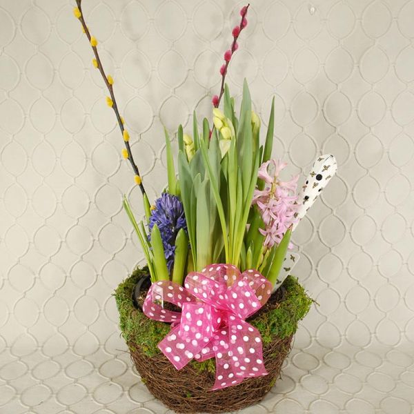 Bulb Garden with pussy willow & garden digger 