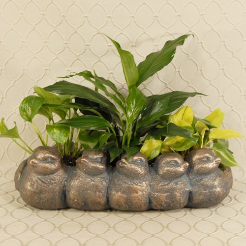 Bird Planter #824