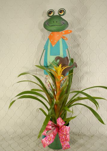Man Frog Planter