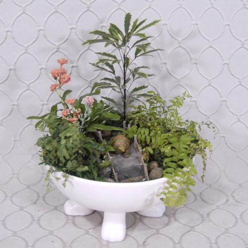 Terrarium #1838
