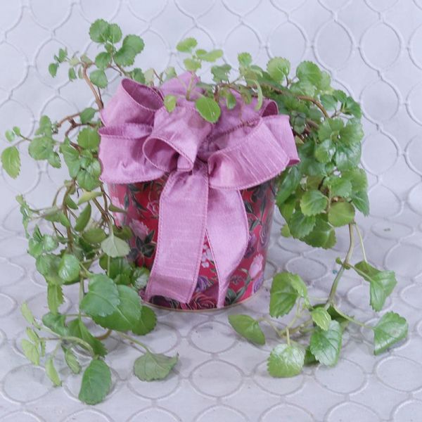Swedish Ivy Planter #1405