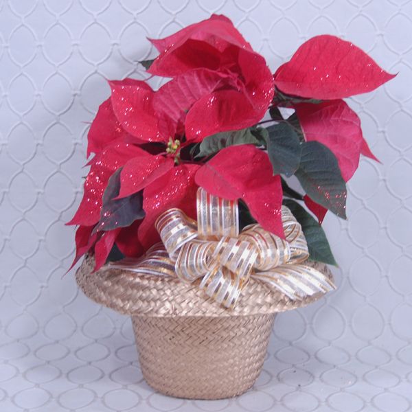 Red Poinsettia Glittered #2880