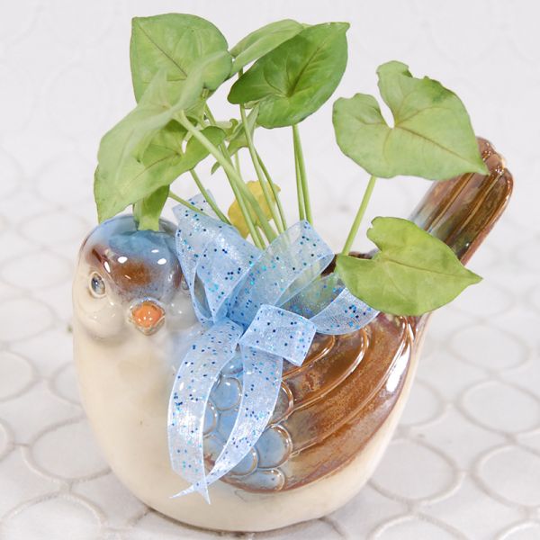 Bird Planter #958