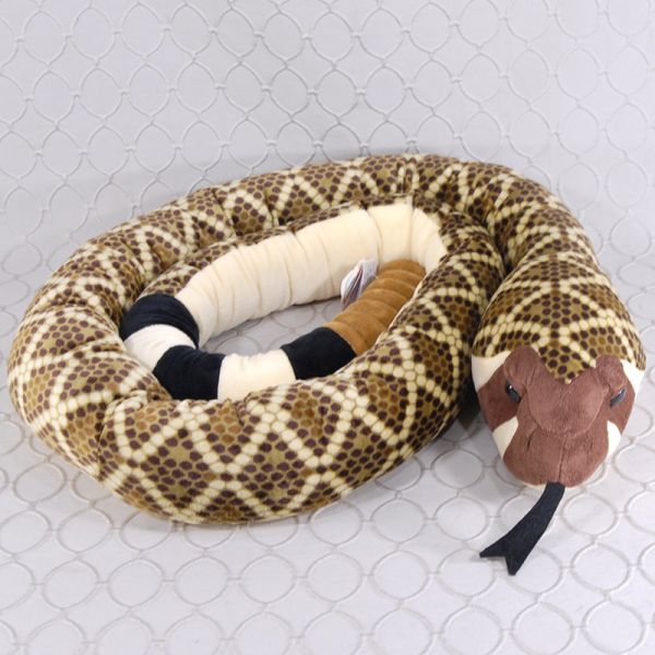Diamond Back Rattle Snake 