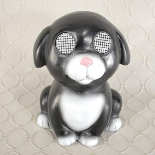 Black Solar Dog