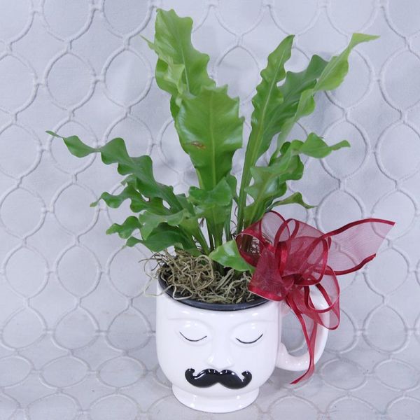 Mustache Mug Planter #1407