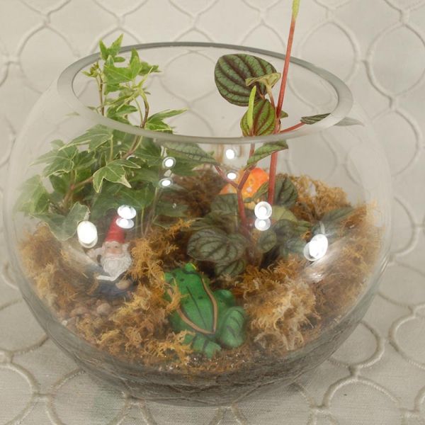 Dish Garden #1314