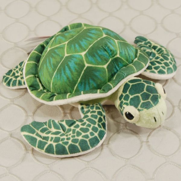 Small Turtle #126