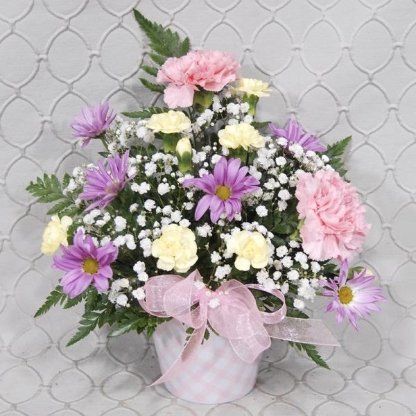 Playful Pink #3616