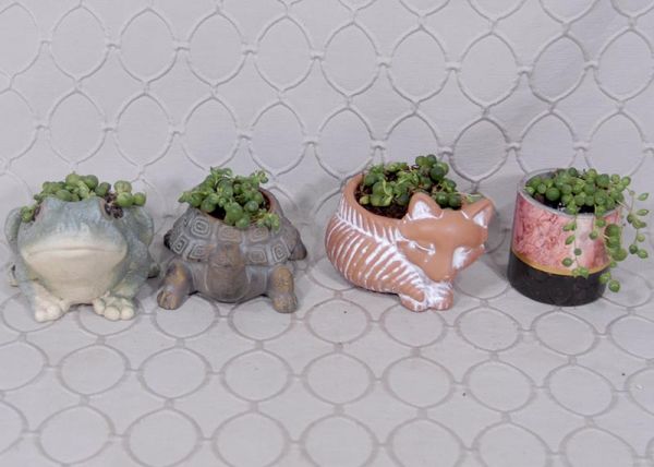 String Of Pearls #3550