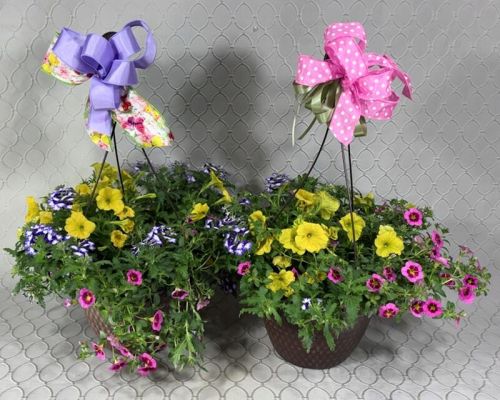Confetti Garden Hanging Outdoor Plant #3578