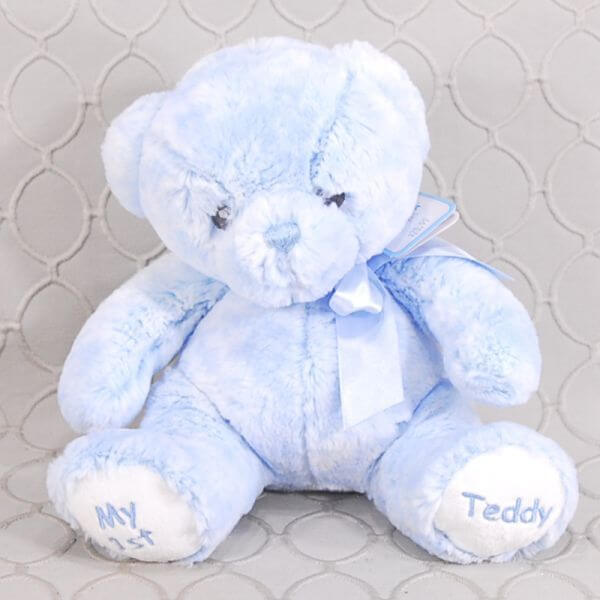 Baby Boy Teddy