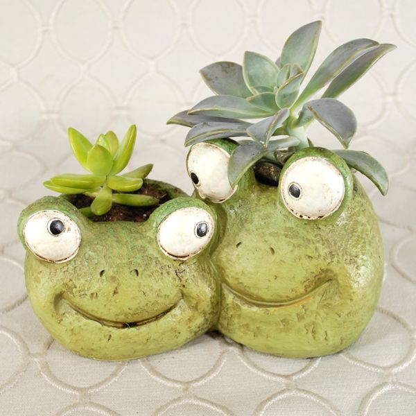 Succulent Planter #1266