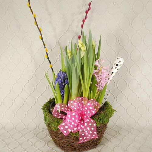 Bulb Garden with pussy willow & garden digger 