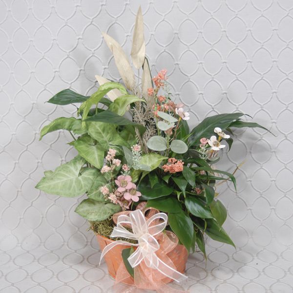 Peaceful In Peach Planter #3622