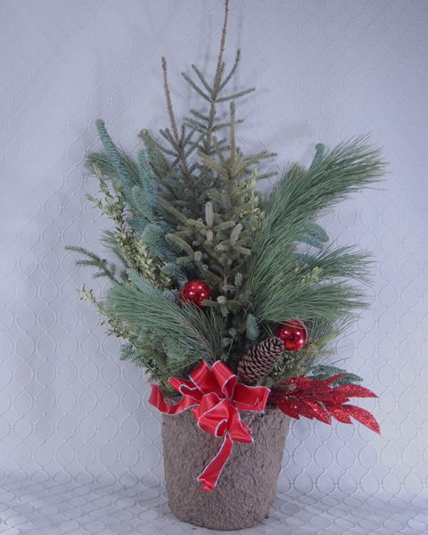 Spruce Top Pot #2885